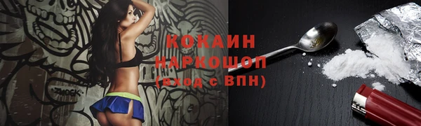 твердый Карпинск