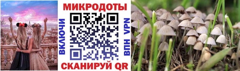 Галлюциногенные грибы мухоморы Купить Руза